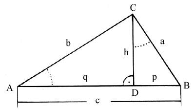 bild26a.jpg (11193 Byte)