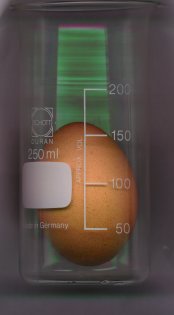 Ei im Wasserglas